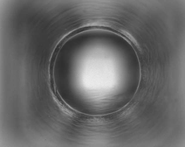 X0000073760980200608031530