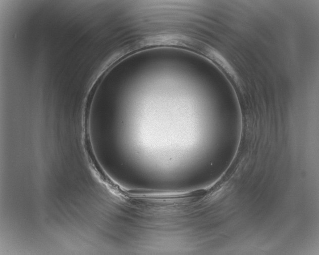 X0000073760994200608031529