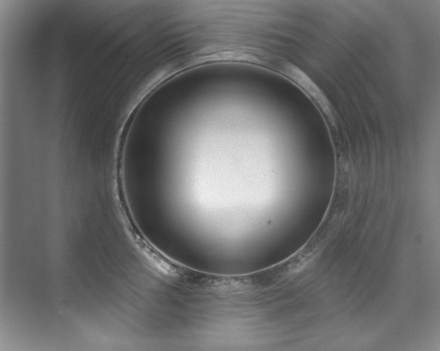 X0000073761002200608031529