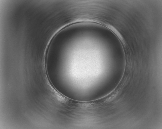 X0000073761004200608031529