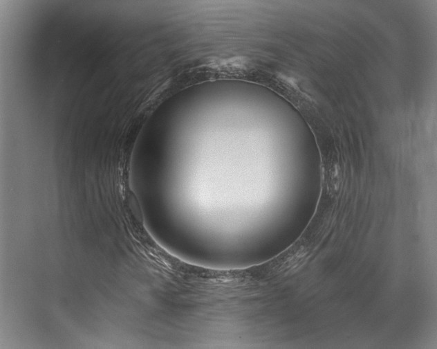 X0000073761010200608031528