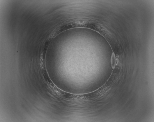 X0000073761011200608031528