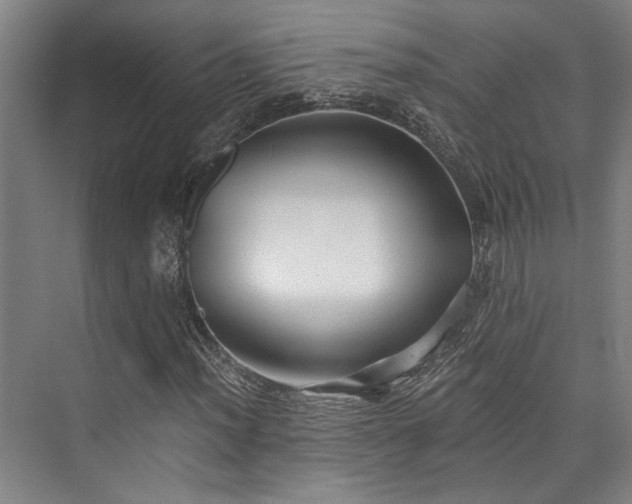 X0000073761012200608031528
