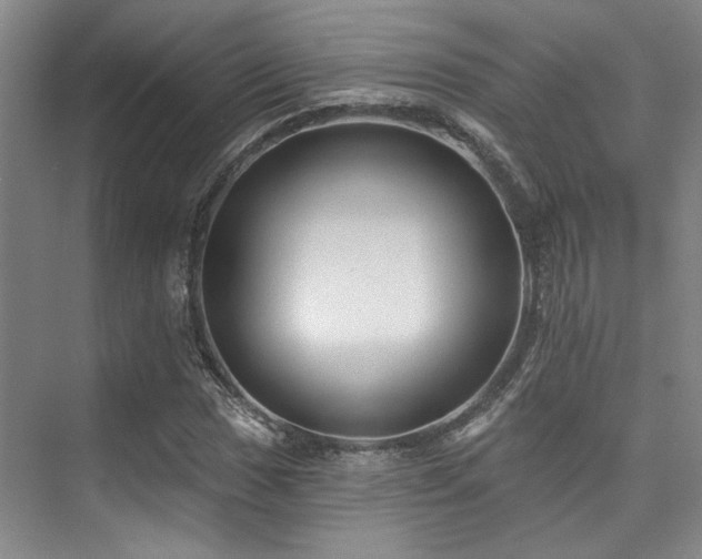 X0000073761017200608031528