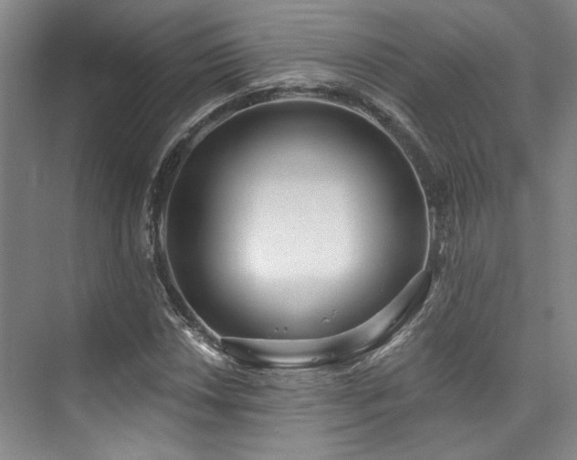 X0000073761018200608031528