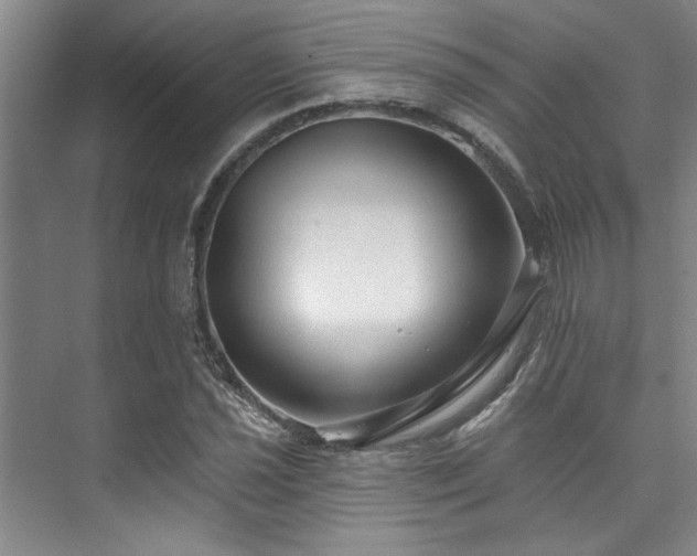 X0000073761021200608031528