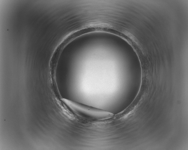 X0000073761022200608031528