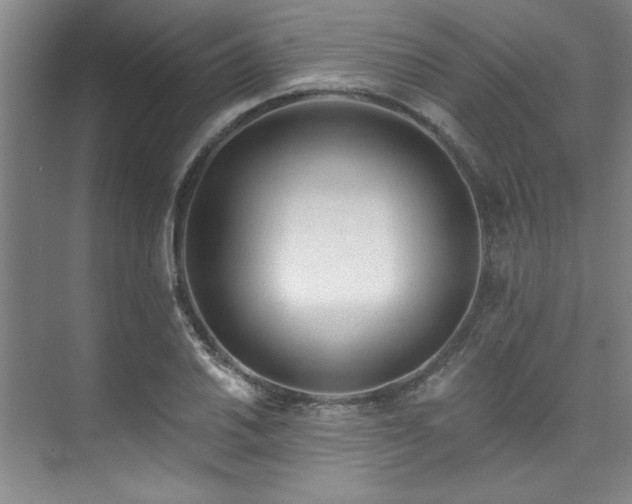 X0000073761030200608031529