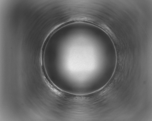 X0000073761036200608031529