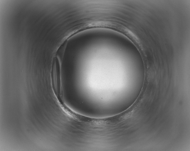 X0000073761041200608031529