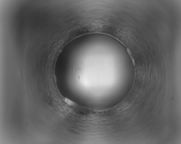 X0000073761057200608031528