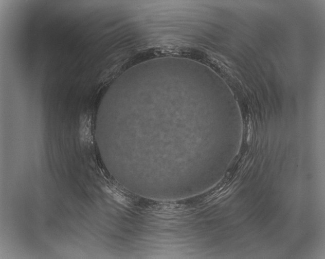 X0000073761060200608031528