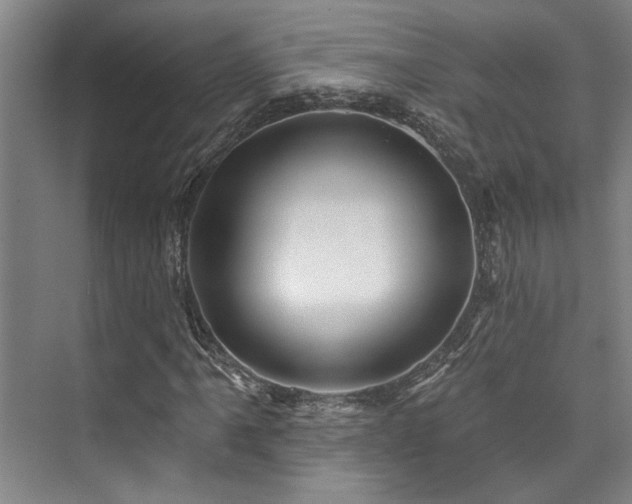 X0000073761061200608031528