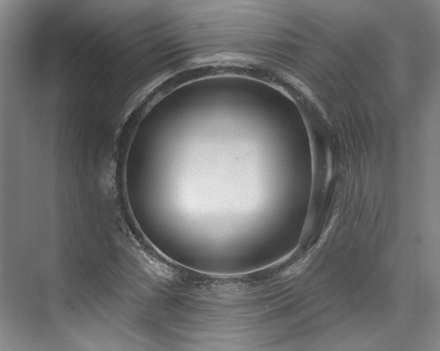 X0000073761066200608031528