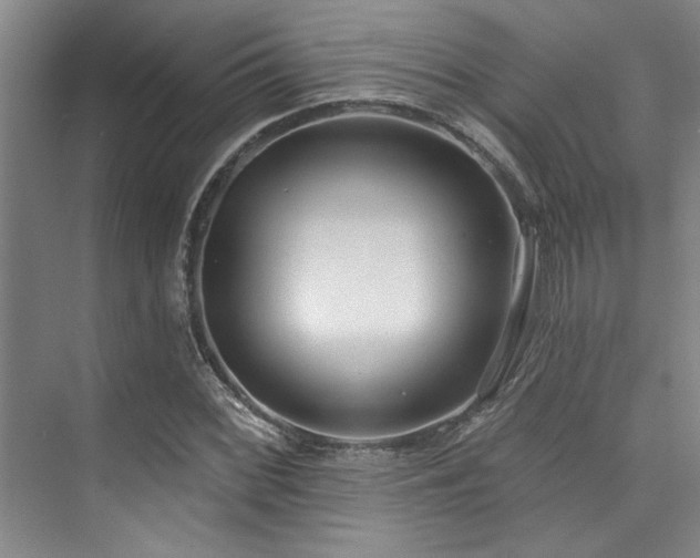X0000073761068200608031528