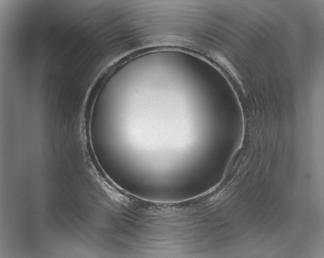 X0000073761072200608031528