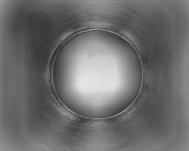 X0000073761074200608031528