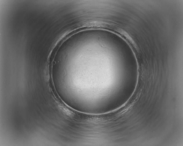 X0000073761075200608031528
