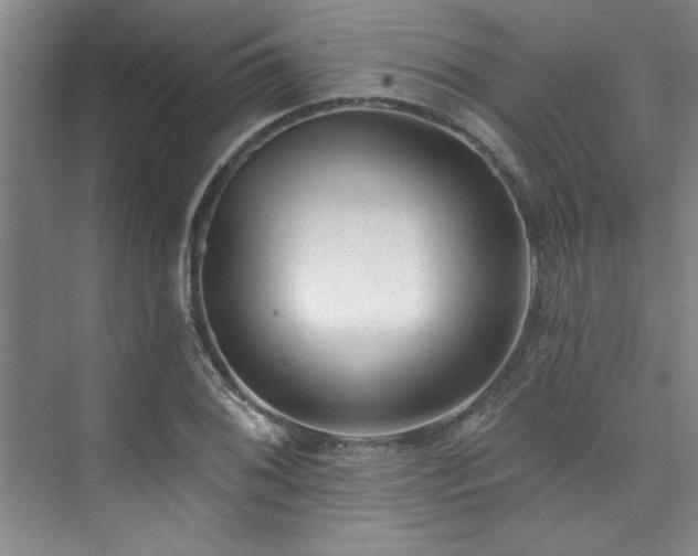 X0000073761076200608031528
