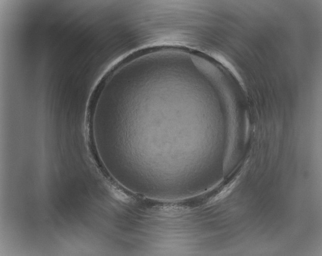 X0000073761077200608031528