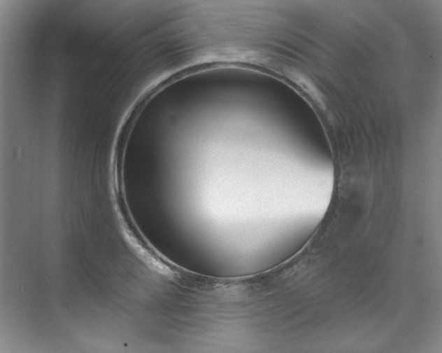 X0000073761080200608031528