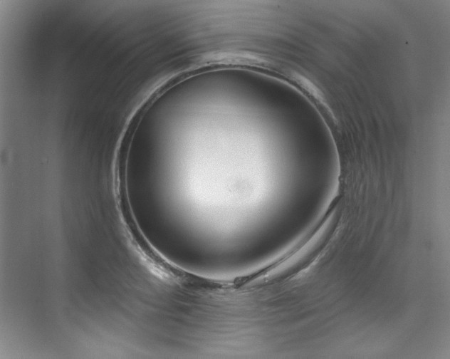 X0000073761082200608031528