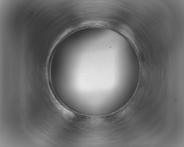 X0000073761090200608031528