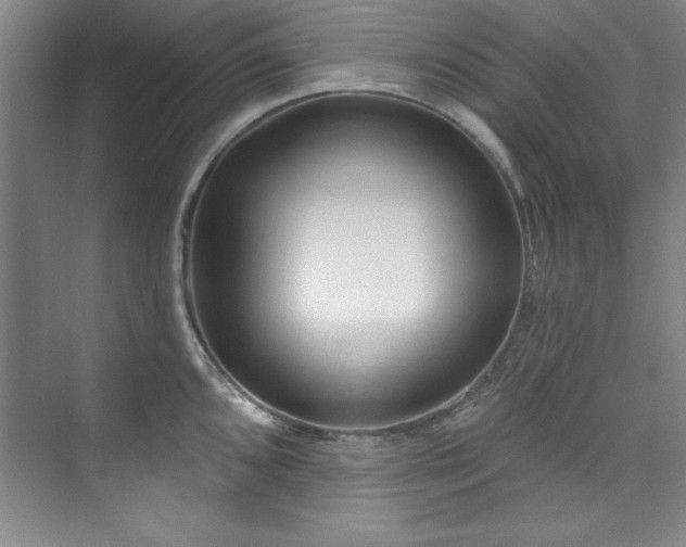 X0000073761096200608031528