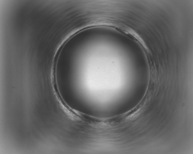 X0000073761101200608031527