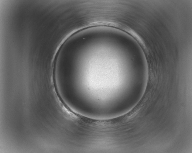 X0000073761102200608031527
