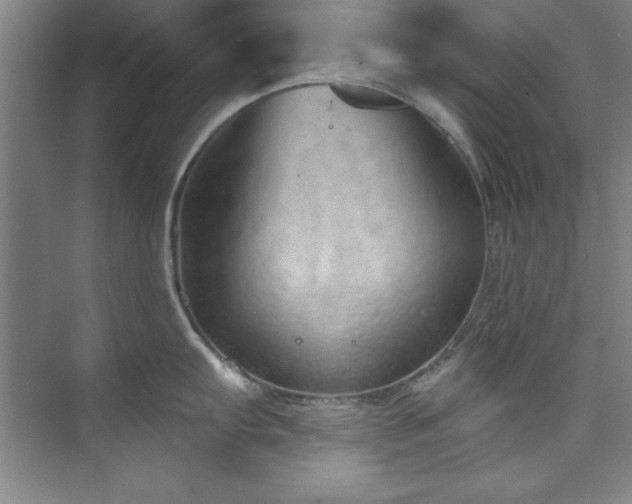 X0000073761103200608031527