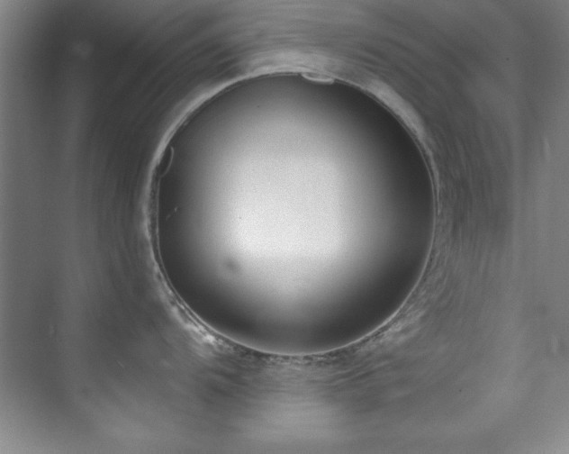 X0000073761104200608031527