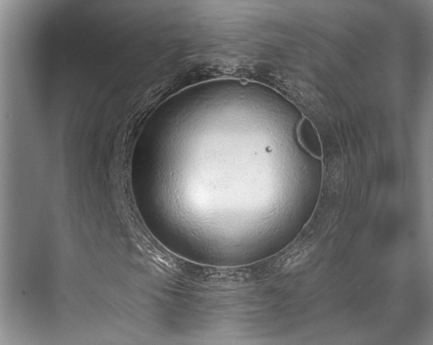 X0000073761105200608031527