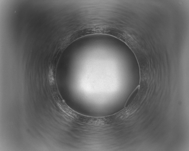 X0000073761106200608031527