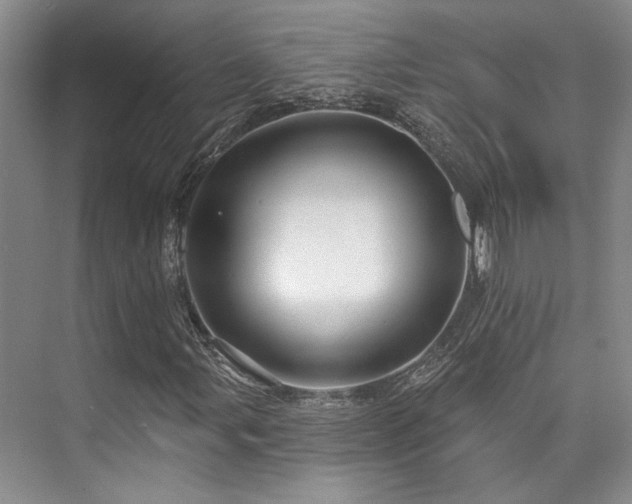 X0000073761107200608031527