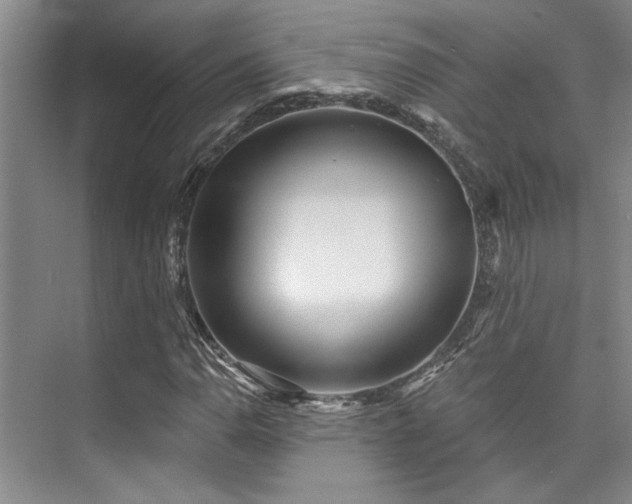 X0000073761110200608031527