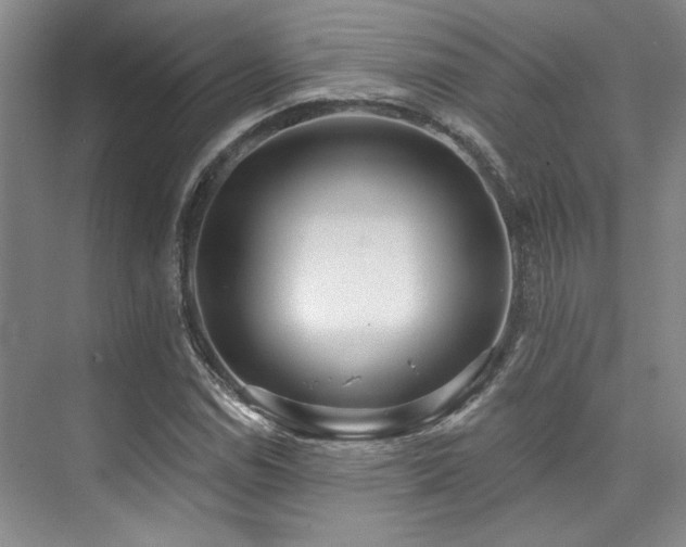 X0000073761114200608031527