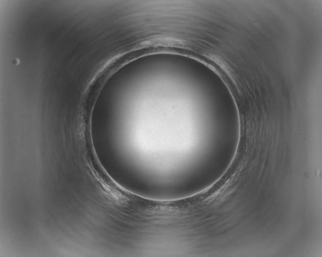 X0000073761115200608031527