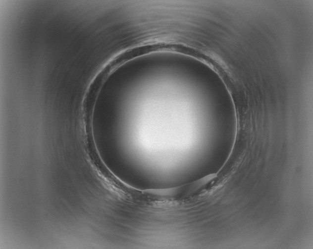 X0000073761118200608031527
