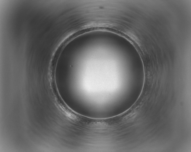 X0000073761119200608031527