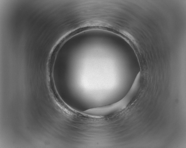 X0000073761120200608031527