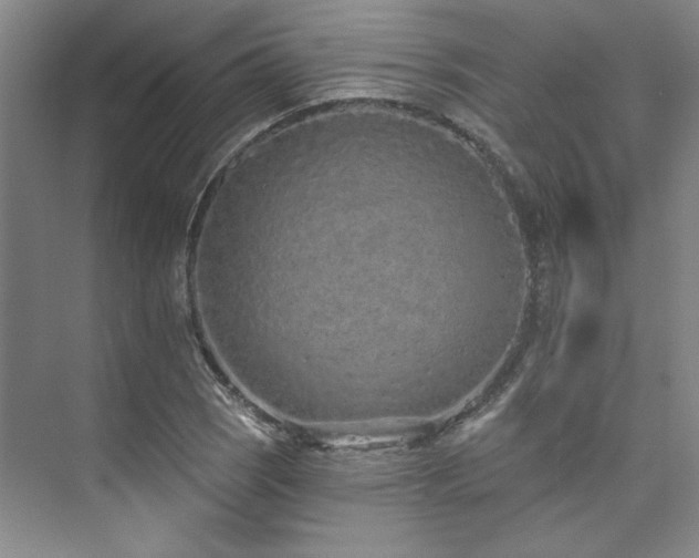 X0000073761121200608031527