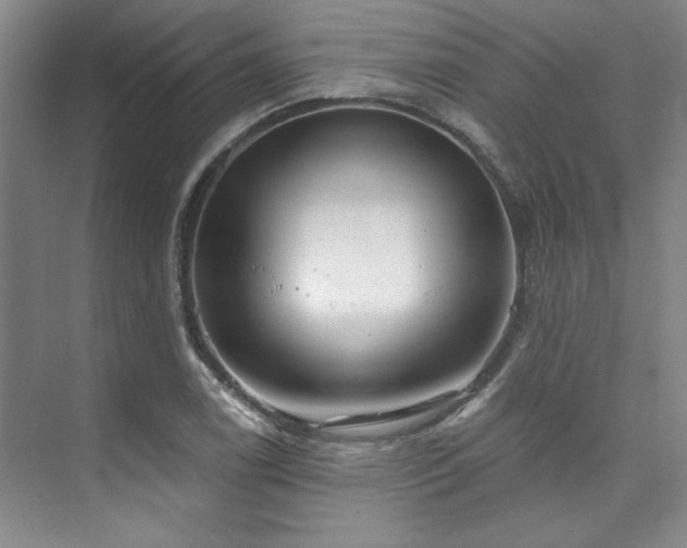 X0000073761122200608031527