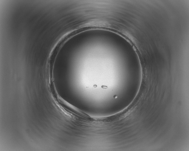 X0000073761123200608031527