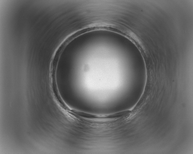 X0000073761124200608031527