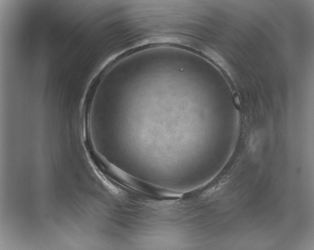 X0000073761127200608031527