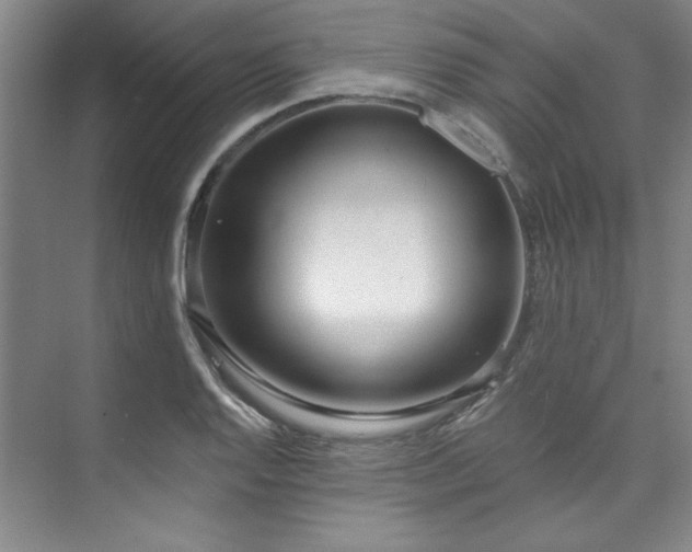 X0000073761128200608031527