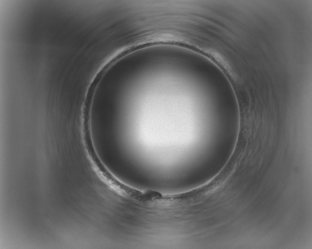 X0000073761134200608031527