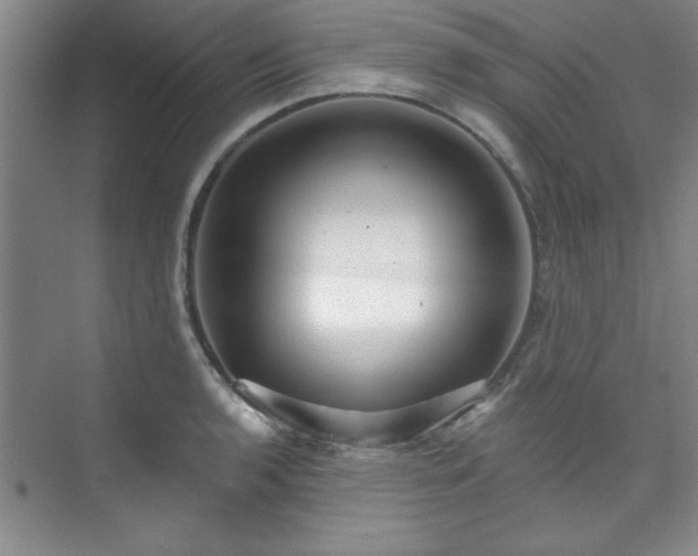 X0000073761136200608031527