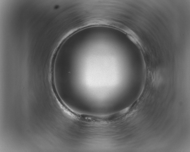 X0000073761143200608031527